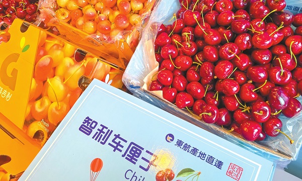 Chile taps into vast Chinese market as trade in cherry, wine and beef set to maintain strong growth trend