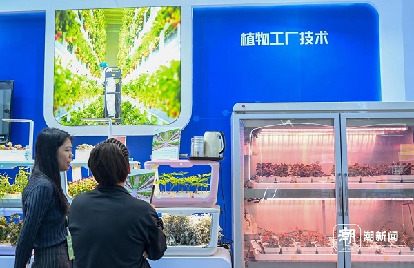 农博会2.jpg