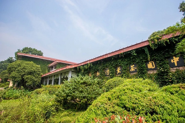 China National Tea Museum: A thousand years of tea culture in Hangzhou
