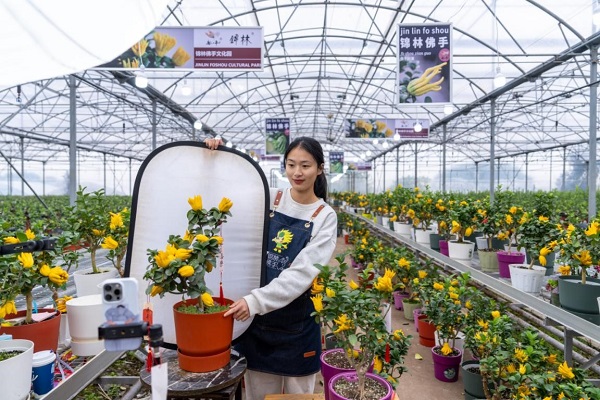 Agricultural innovators contributing to China's comprehensive rural revitalization
