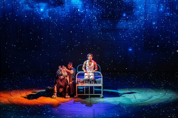 Life of Pi makes its way to Hangzhou