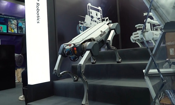 'Robot dog' put into use in fire rescue in Changsha, capable of functioning in extreme temperatures