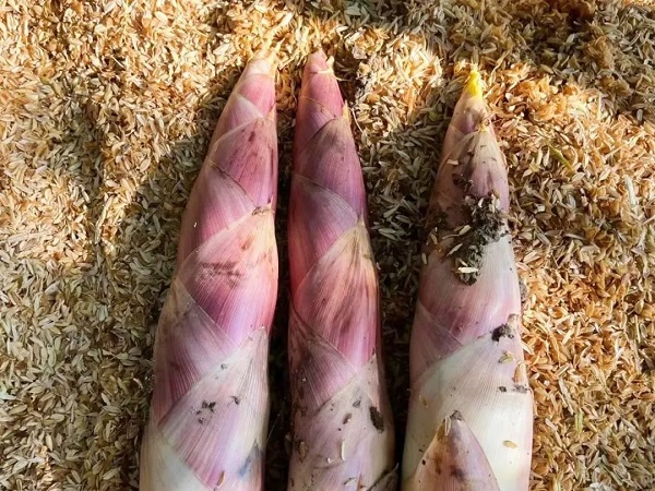 Local flavors help bring Hangzhou farmers to prosperity