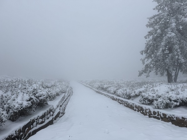 雪1-余杭黄湖.jpg