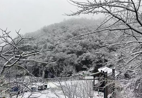 雪4-余杭百丈.jpg
