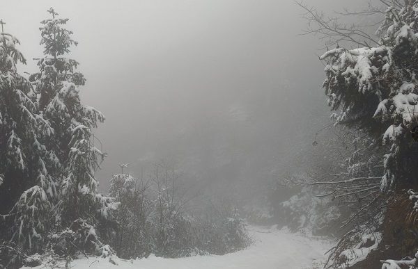 雪6-建德大同.png