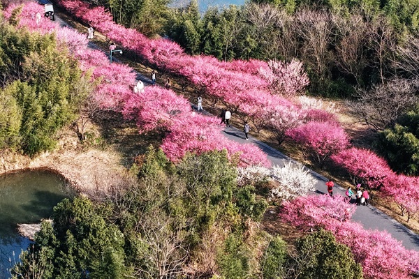 Catching the spring