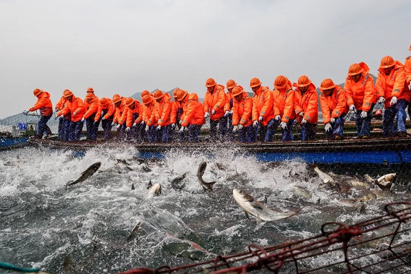 Big catch
