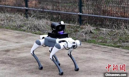 Zhejiang pilots quadruped robot application in civil aviation