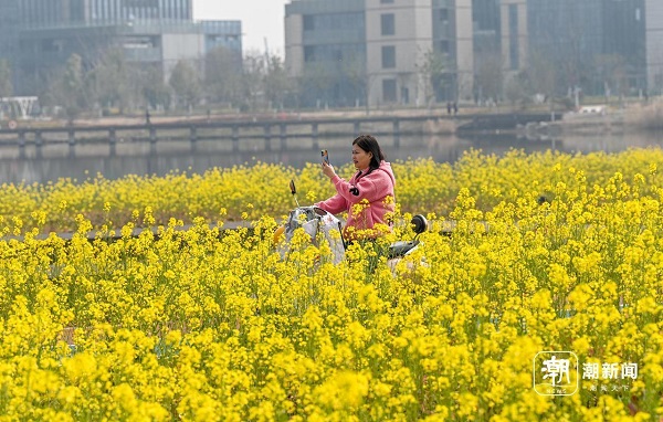 Spring arrives early in Qiantang