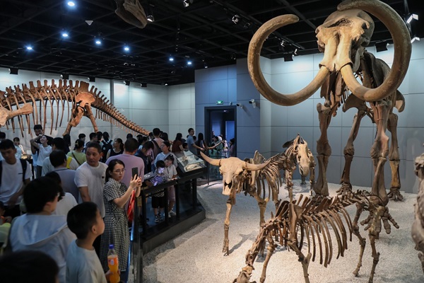 China at the forefront of dinosaur fossil discoveries with a focus on preservation, technological support