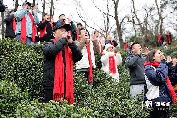 Hangzhou farmers call the mountains for a bountiful tea harvest
