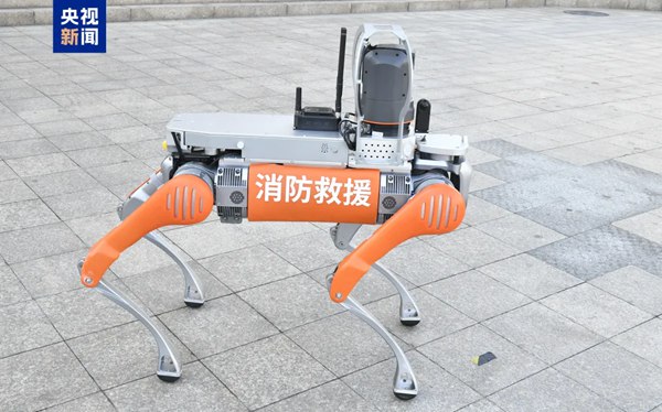 Robotic dogs take on new roles in China: Walking pets, delivering medicine, and even running marathons