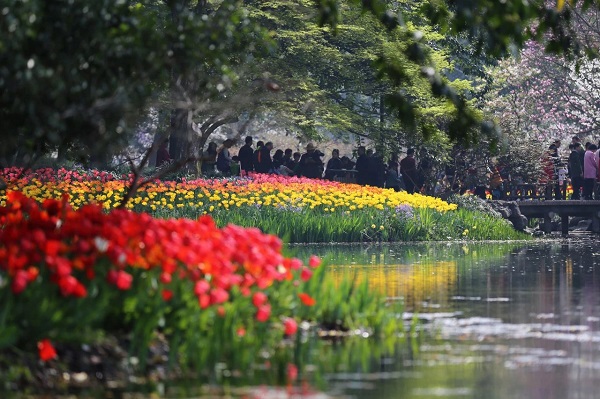 花朝节2.jpg