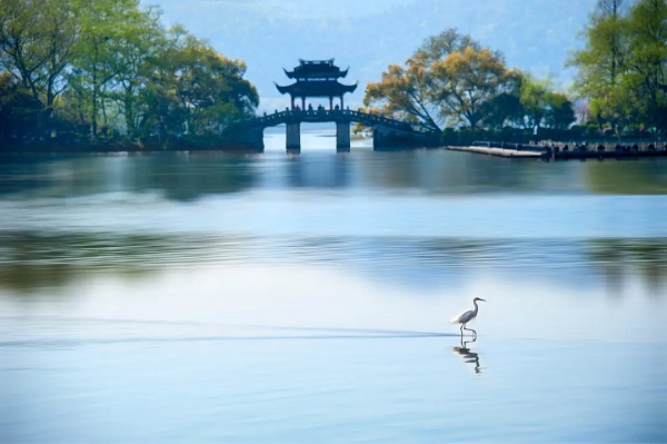Six scenic routes to savor spring in Hangzhou
