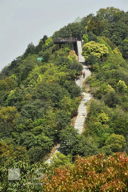 观景平台2.jpg