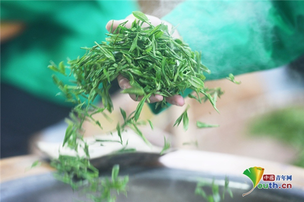 Fry the king of West Lake Longjing tea
