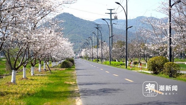 Rural road development initiative helps promote rural vitalization in Hangzhou
