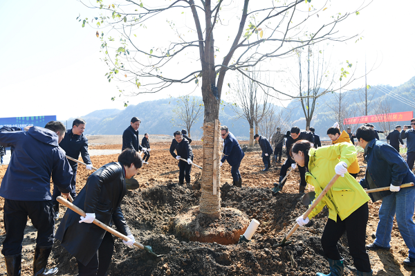 Hangzhou to host UN-level biosphere conference with a zero-carbon commitment