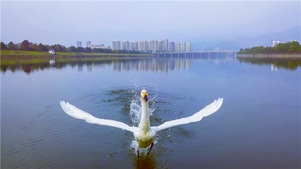 天溪湖1.png