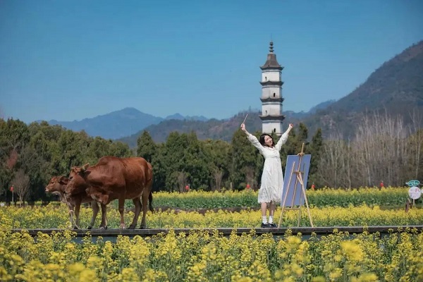 Hangzhou sees 6.67 million visitors during Qingming holiday