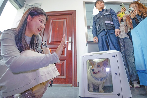 Public services increasingly pet-friendly amid young Chinese demand