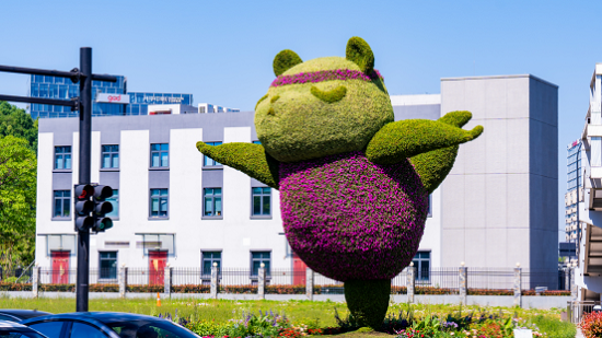 Hangzhou's 'yoga panda' gets a spring makeover
