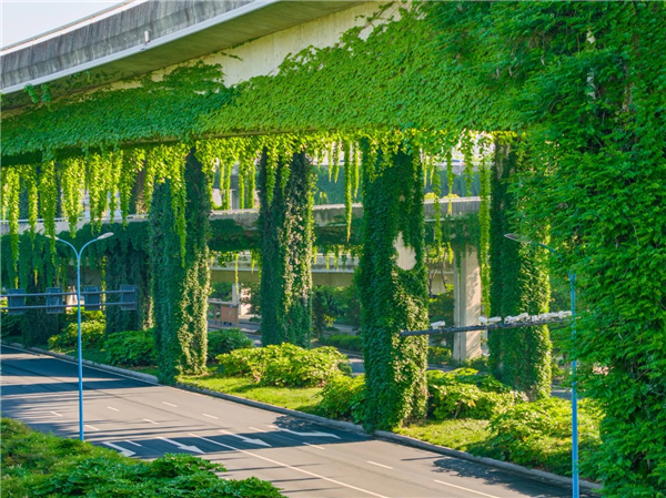 A fairytale elevated road in Hangzhou