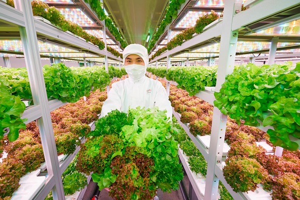 植物3.jpg