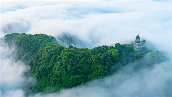 Linan‘s Landscape.jpg