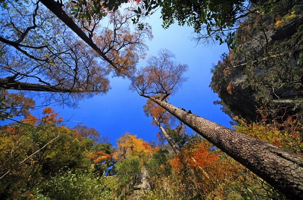 生態(tài)2.jpg