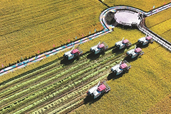 China to hold Farmers' Harvest Festival around the country