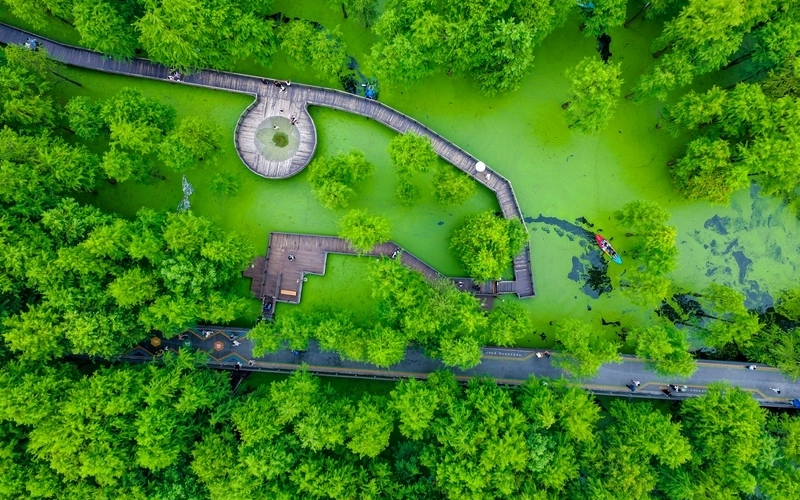 Zhejiang turns forests into invaluable assets