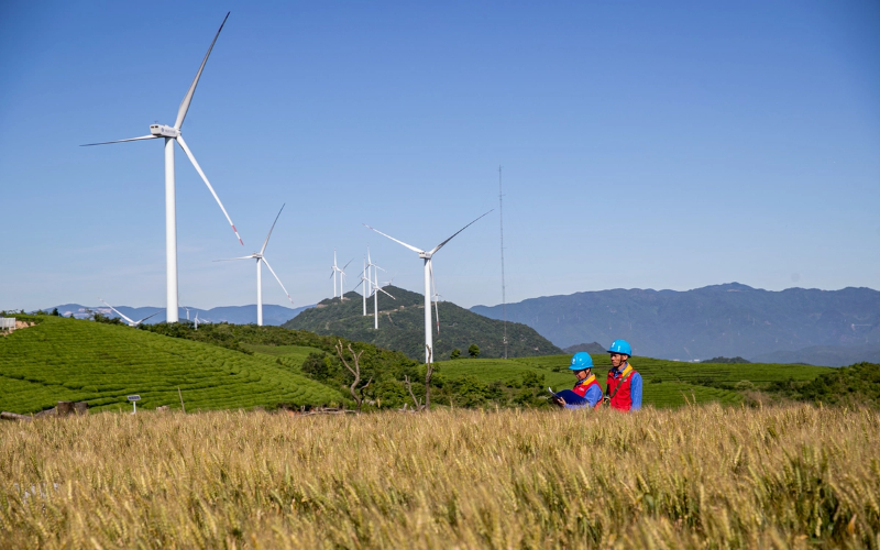 Zhejiang unveils blueprint to restore ecosystems