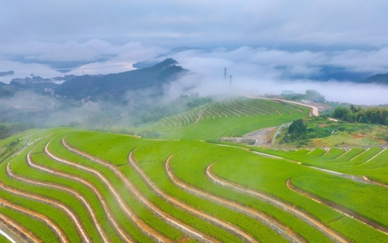 YRD green integration zone to share reform practices