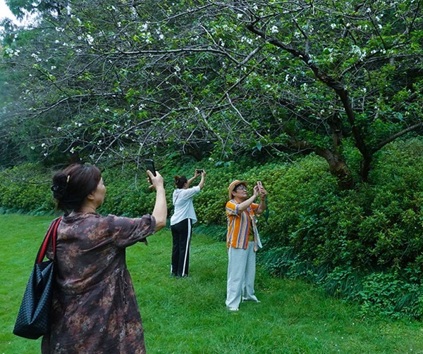 花1.jpg