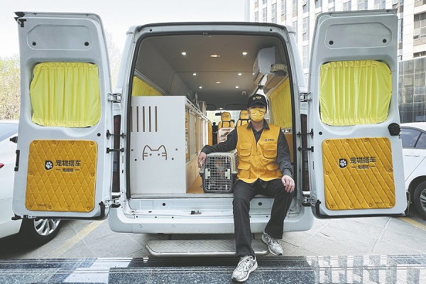 Cats out of the bag: paws, claws, business-class seats