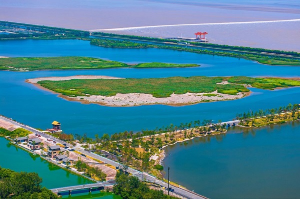 Eco-restoration project begins at Qiantang wetland park