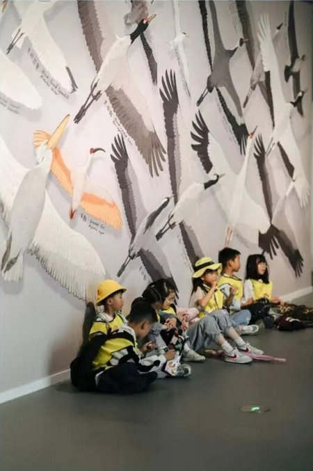 鸟2.jpg