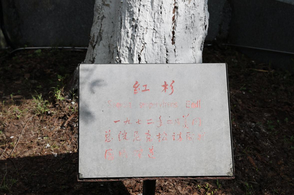 情谊1.png