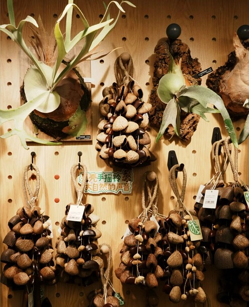 1761288106773012045.jpg 植物园1.jpg