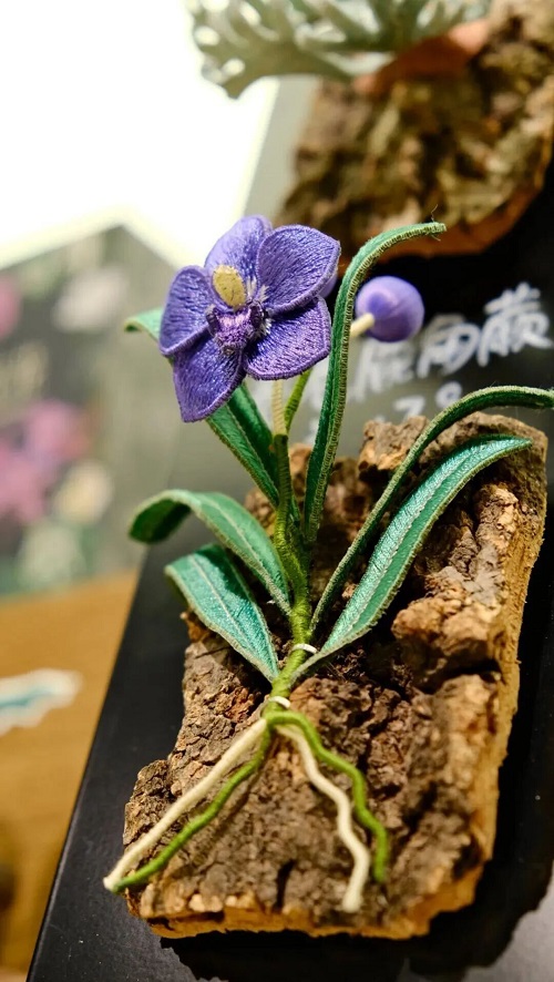 1761288123409041521.jpg 植物园2.jpg