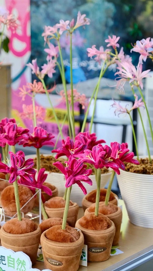 1761288135951019046.jpg 植物园3.jpg