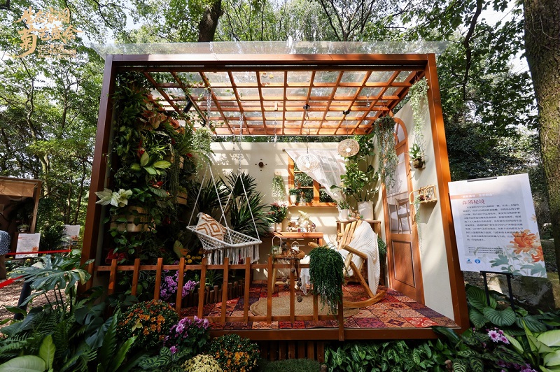 1761817391214050803.jpg 菊展2.jpg