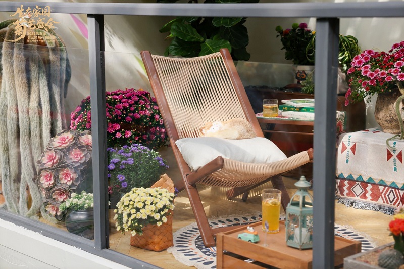 1761817409843005480.jpg 菊展3.jpg