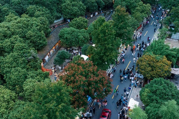 Osmanthus flowers enter blooming period in Hangzhou