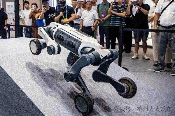 Hangzhou to introduce China's first local legislation on embodied intelligent robots