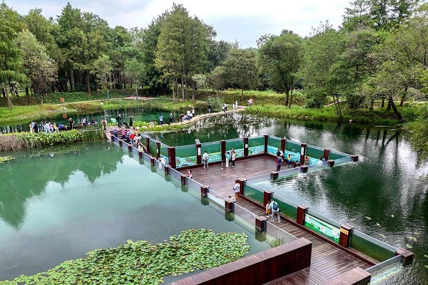 Upgraded underwater corridor brings wetland wonders closer together in Hangzhou