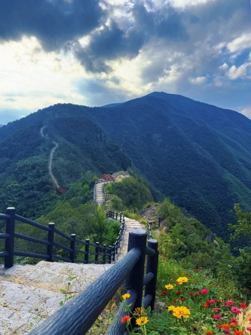 1763113912088060542.jpg 1-1-5_副本.jpg