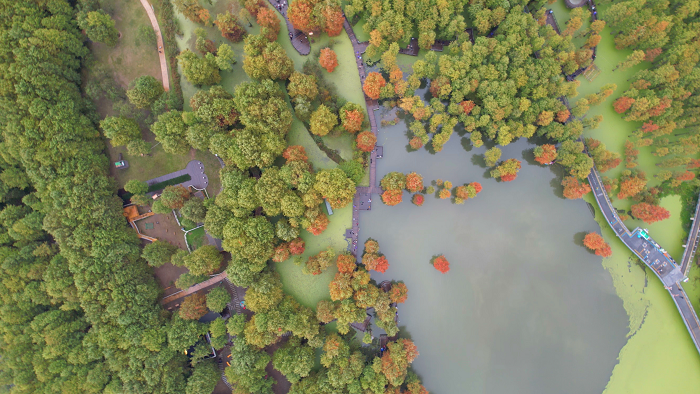 1763436637172095412.png 青山湖3(1).png